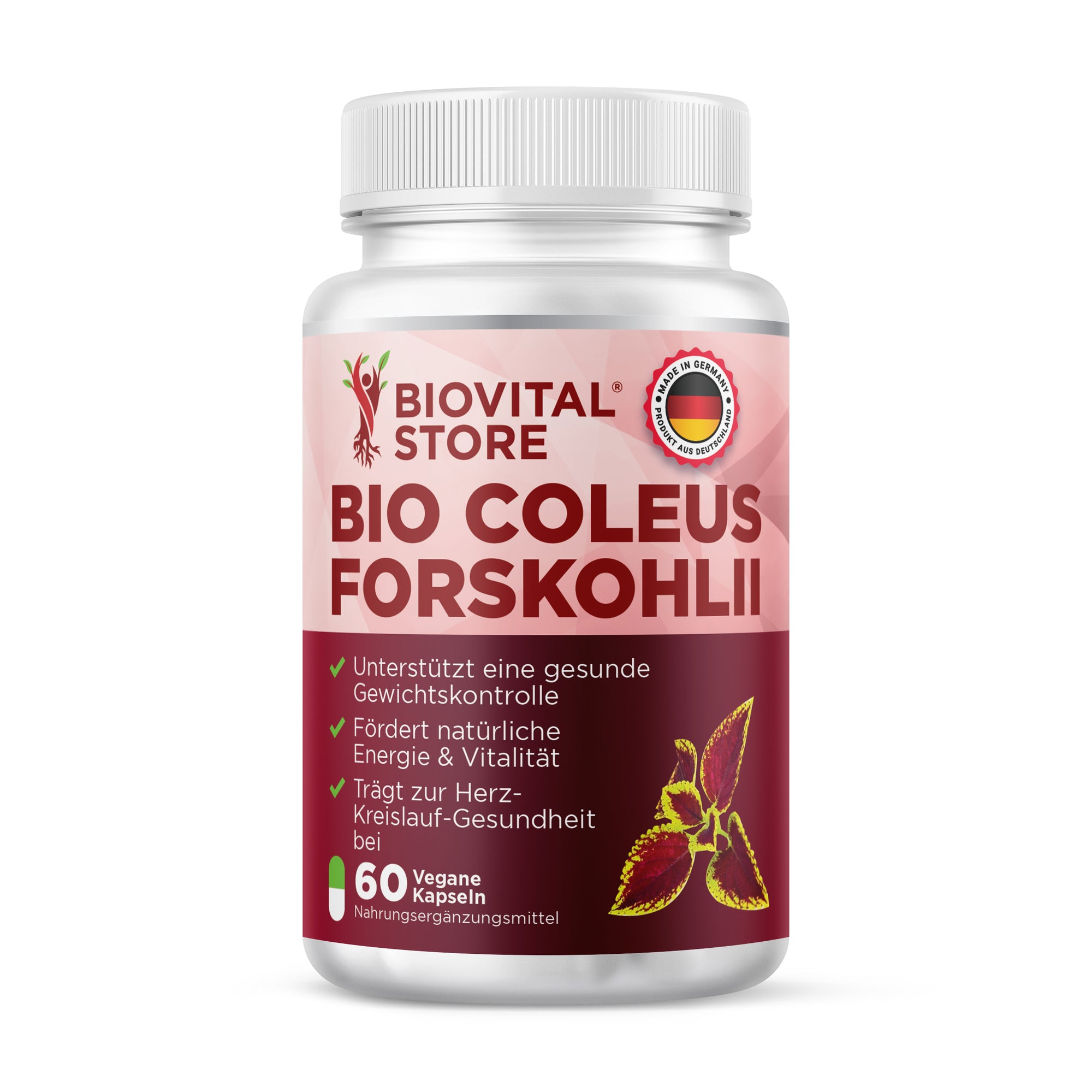 Coleus Forskohlii - BioVitalStore